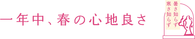 一年中、春の心地良さ